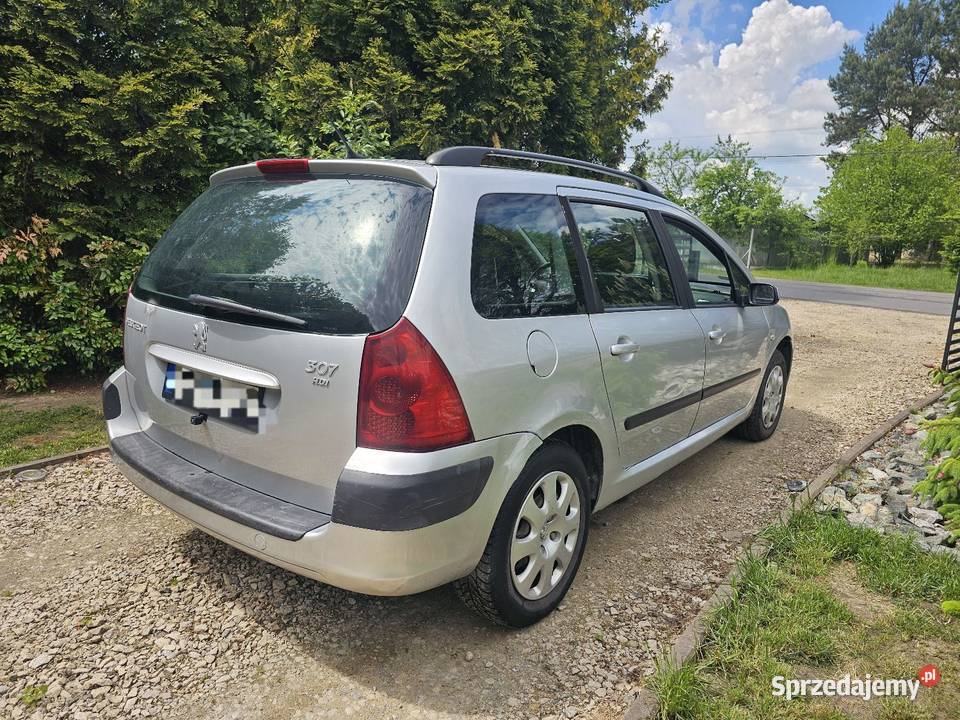Peugeot 307 16 hdi Chotynin