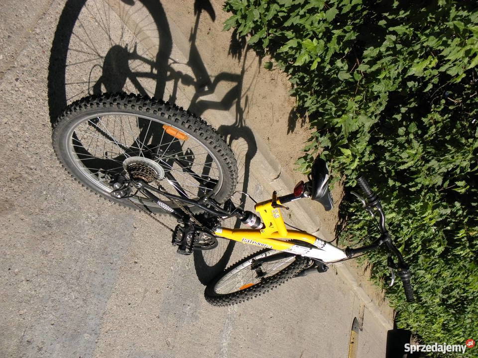 Rower Górski Caledonia Hornet 24 stan Górskie, MTB Warszawa sprzedam
