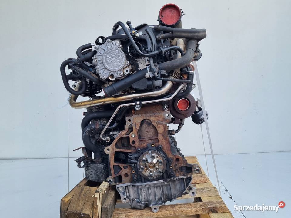 SILNIK KOMPLET VW Golf V 20 TDI 140 BKD Rudka