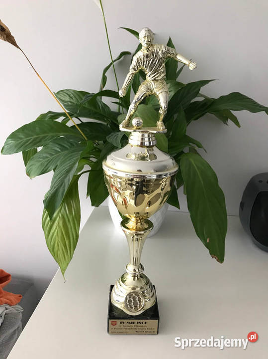 Puchar osiągnięcia sportowe piłka nożna świętokrzyskie Kielce