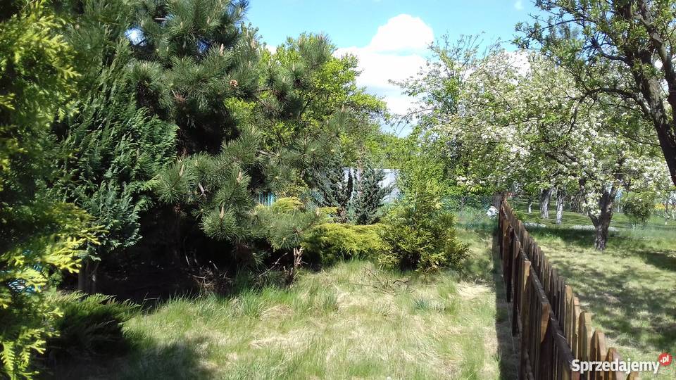 Sprzedam ogródek działkowy