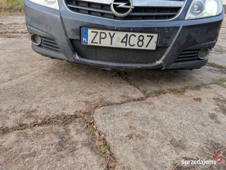 Opel Signum 19 cdti 150 Słupsk