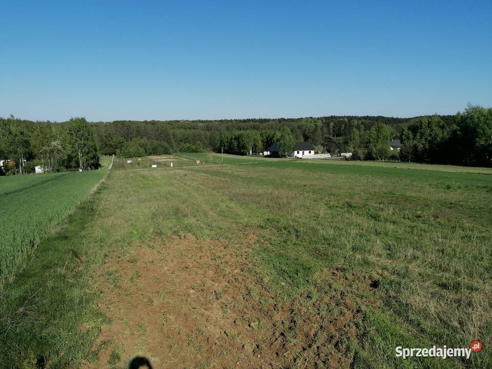 Działka budowlana 1600 mkw budowlana Koziołki