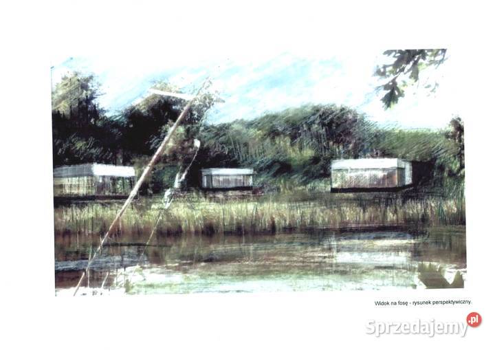 Mazowieckie 65 ha terenu inwestycyjnego polna Gniewoszów