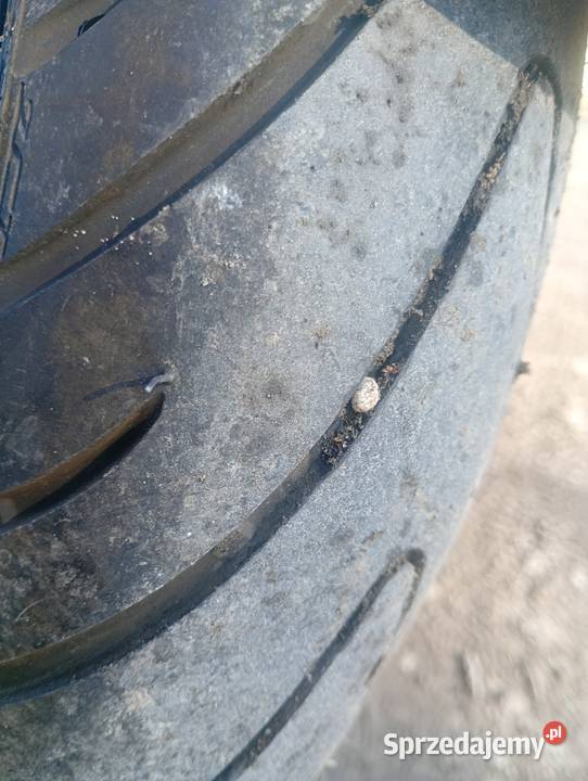 Honda CBR XX 1100 2000r Wtrysk Czerwionka-Leszczyny sprzedam