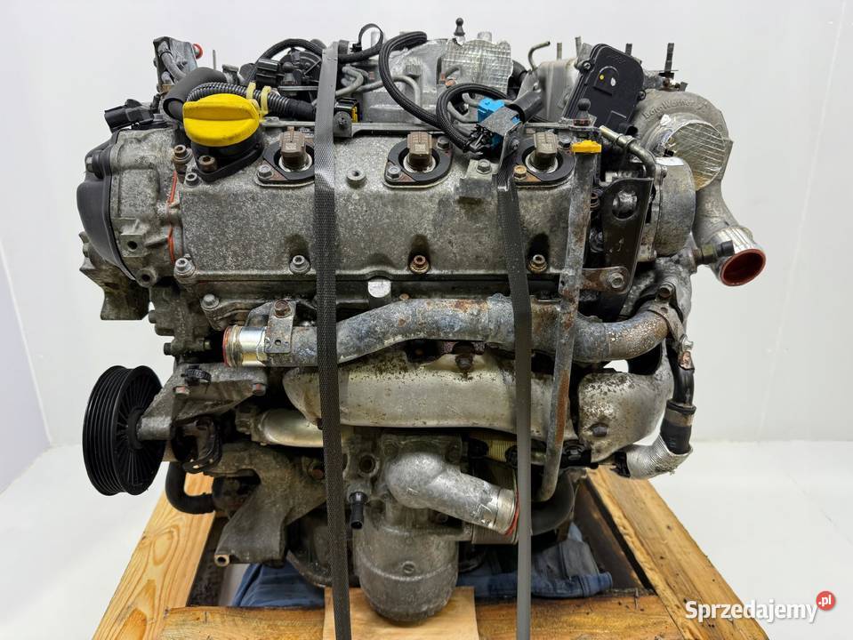 SILNIK Z30DT Opel Signum Vectra C 30 CDTI V6 184 Chełm