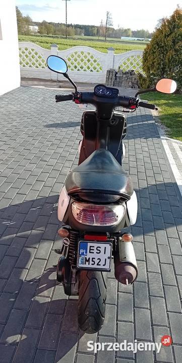 Peugeot tkr pas napędowy Złoczew