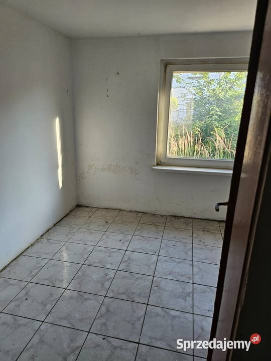 13 udzialu w domu z ogrodem papa Wrocław