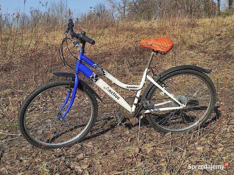 Rower miejski damka Active Leader koła 26 Wrocław sprzedam