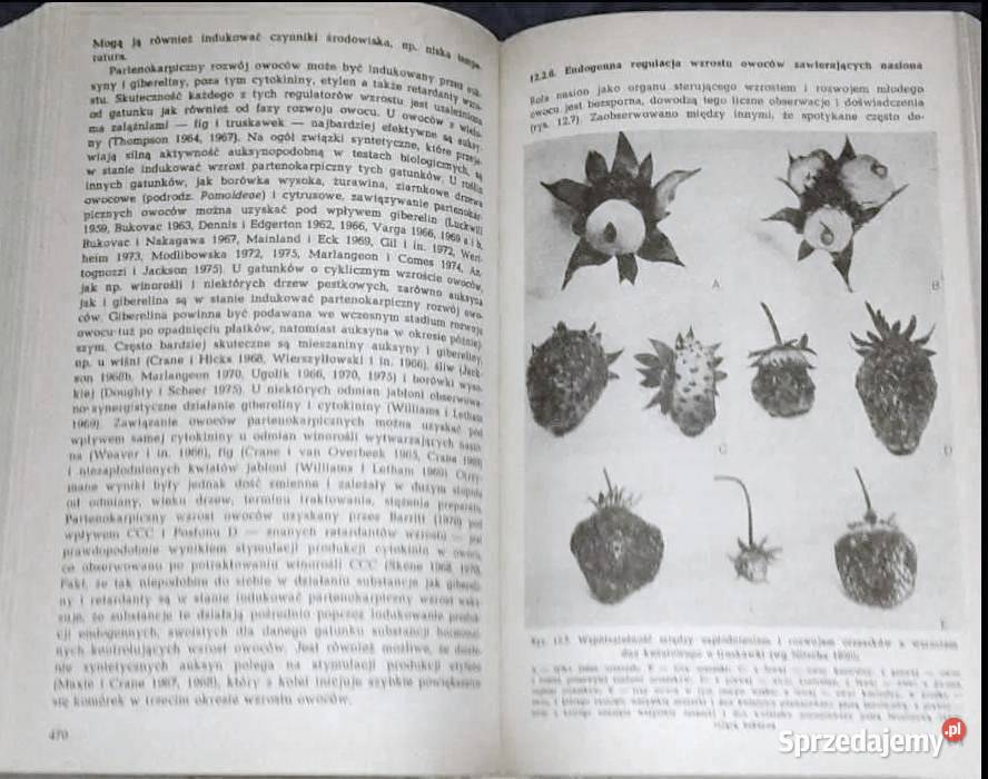 Fizjologia roślin sadowniczych Red Leszek Rok wydania 1984