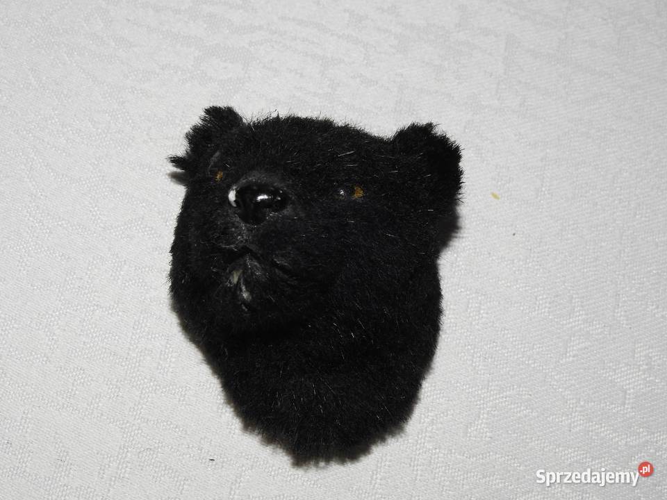 Pantera na magnes podkarpackie Przemyśl