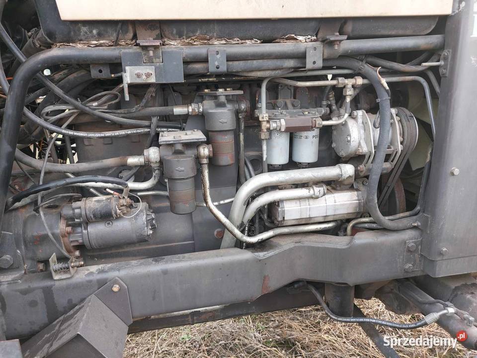 Renault 15554 nectra Mniewo
