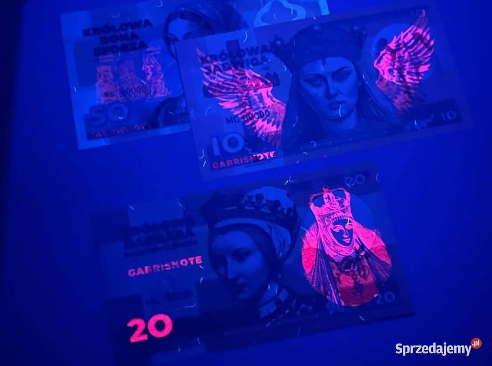 HIT Królowe Polski JadwigaBarbaraBona 2023 Matej zachodniopomorskie Goleniów