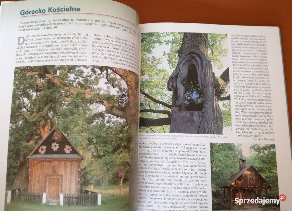 Skarby Natury w Polsce AJaguś SKulczyk ZMarcinów Łódź