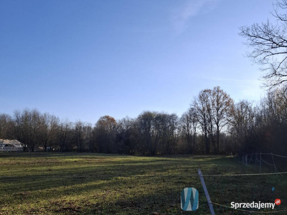 Działka Skierdy 71000m2