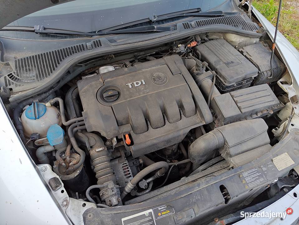 skoda octavia automat Rok produkcji 2008 Škoda Żagań