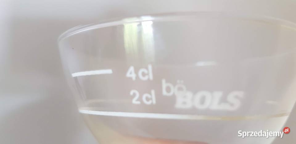 Kieliszek do likieru z miarką barmańską 24 cl 6 przezroczysty Zielona Góra