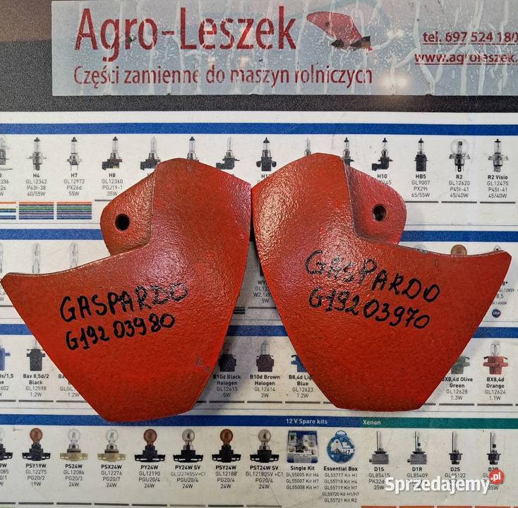 Szpikulec siewny Gaspardo G19203980