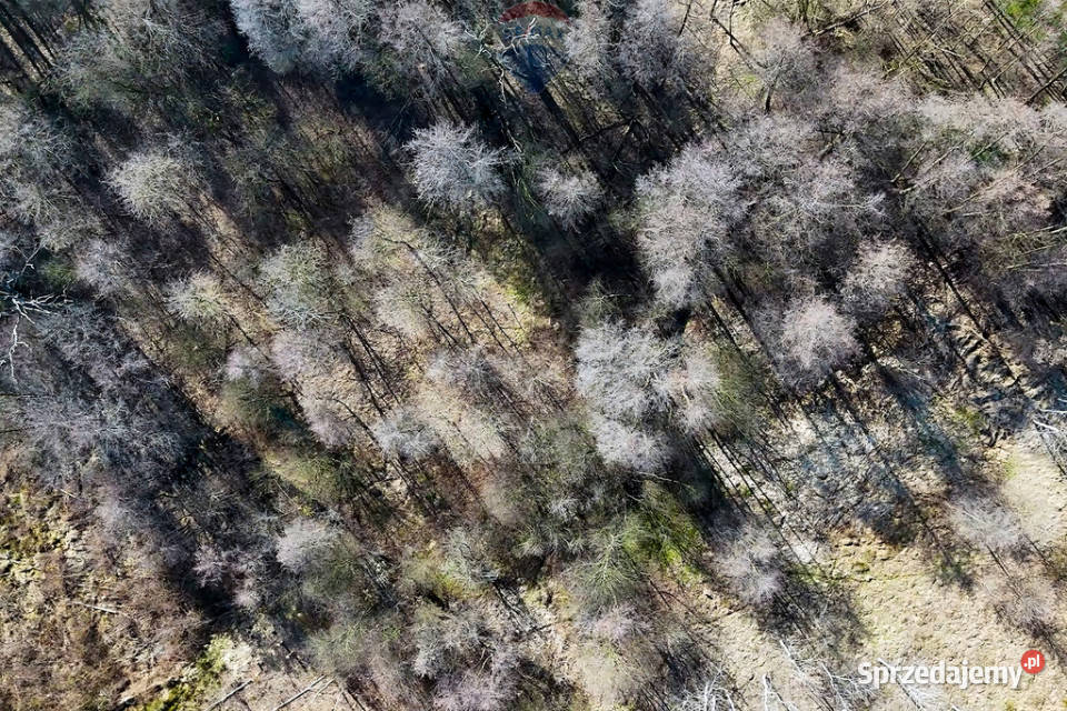 Działka budowlana Krzeczów NOWA BLACK WEEKS