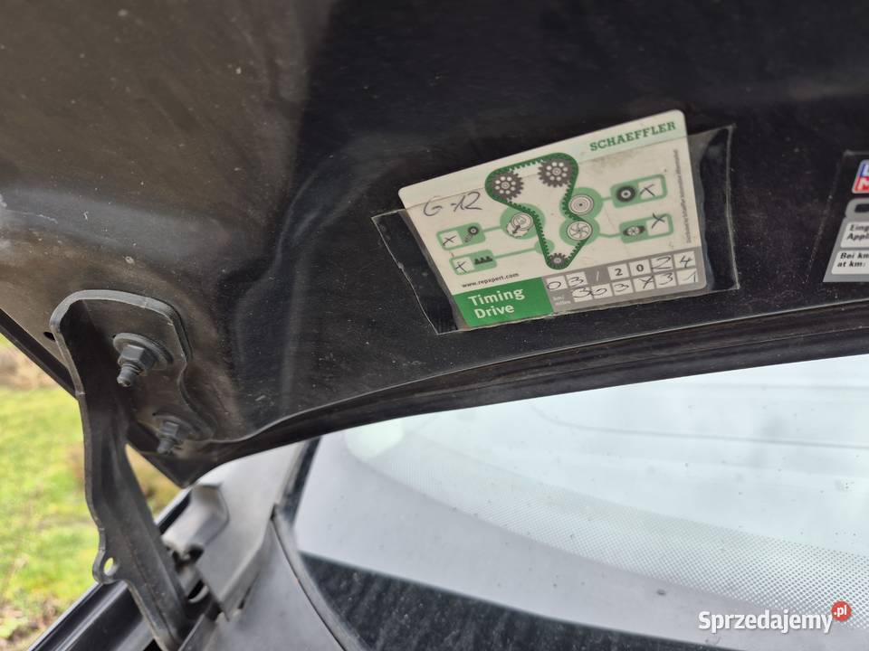 Ford Galaxy Galaxy dolnośląskie Borówki