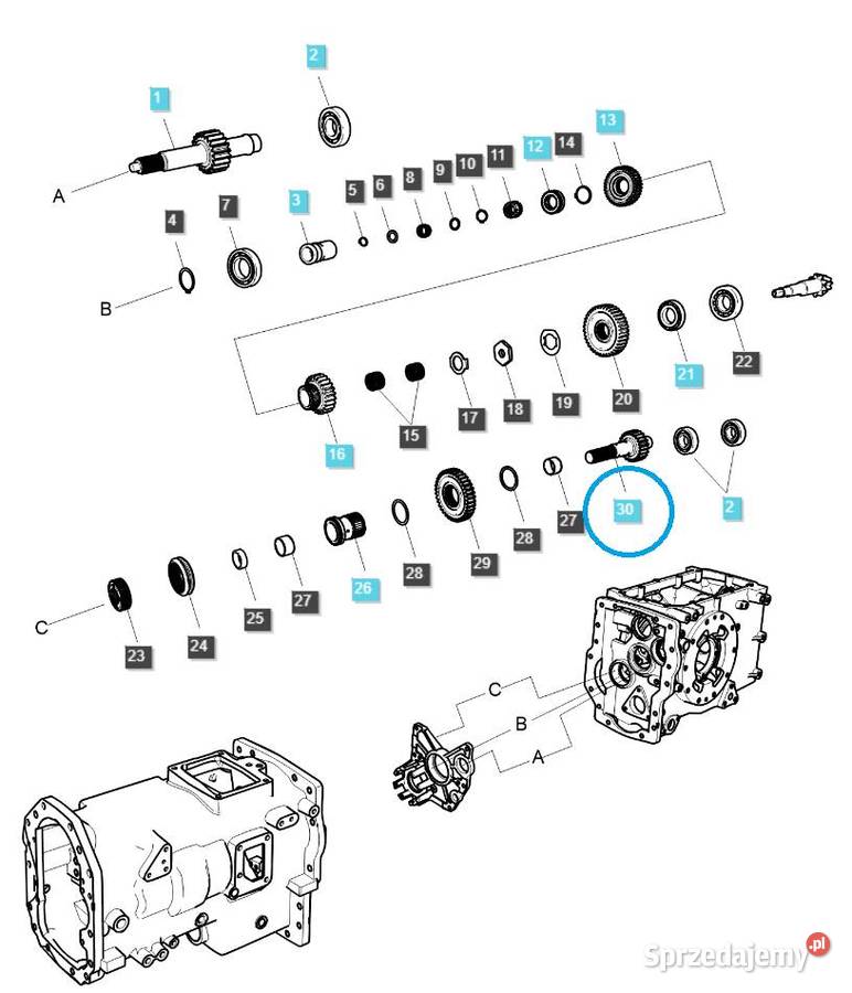 Wałek łączący przekładni TRG285 LS Tractor Tajęcina
