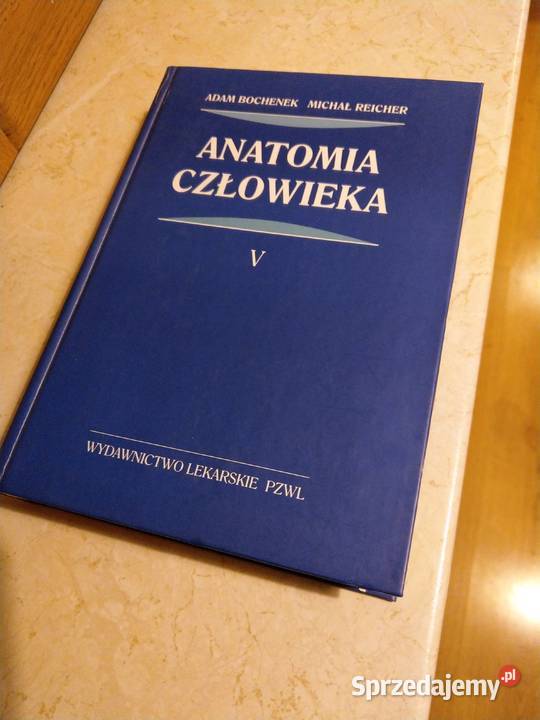 Anatomia człowieka autorzy Adam Bochenek Michał