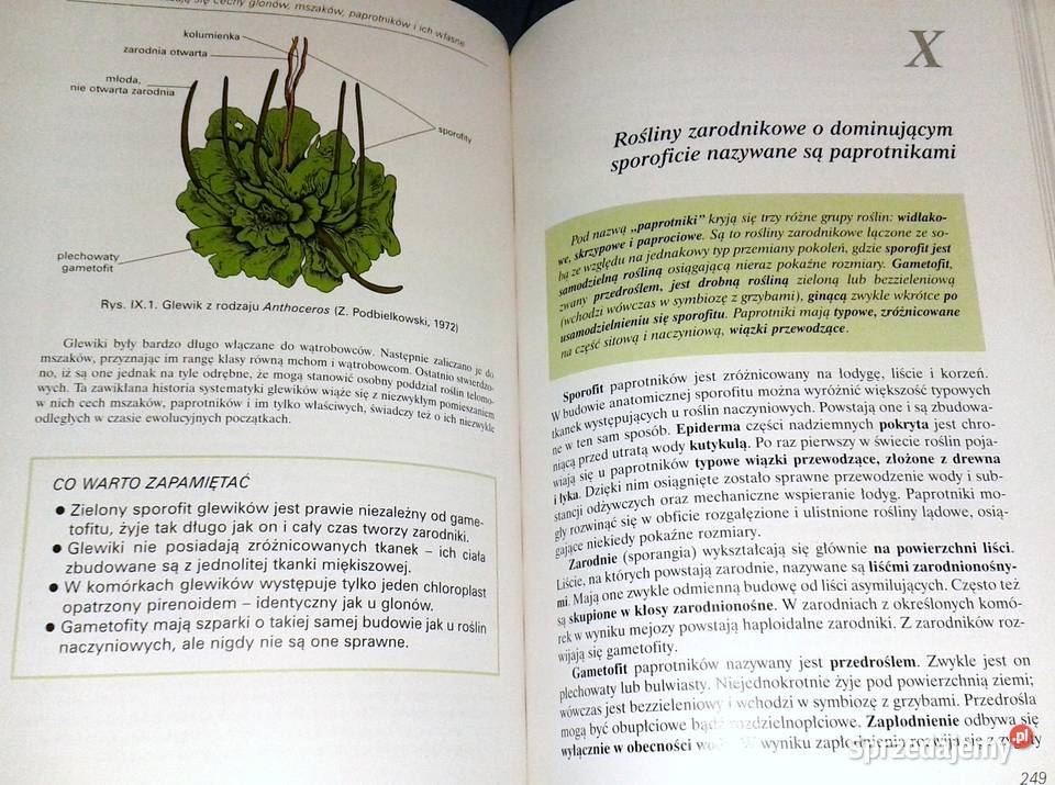 Botanika i biologia komórki Andrzej Batko W Chełm sprzedam