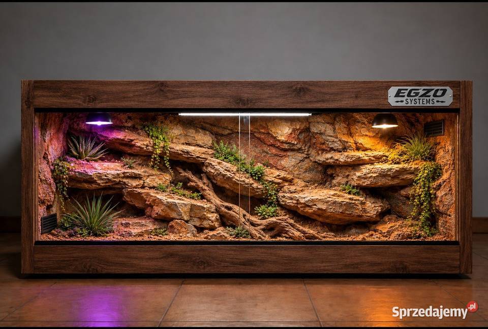 Terrarium specjalistyczne agamy brodatej gekona Terrarystyka Nowy Sącz