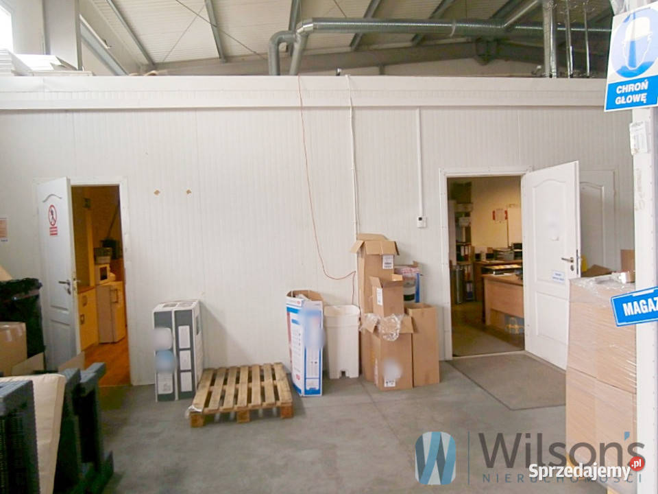 Lokal Dawidy 550m2 550m2 Wynajem