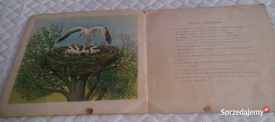 Roman Owidzki Bociany wracają Książka Czeladź