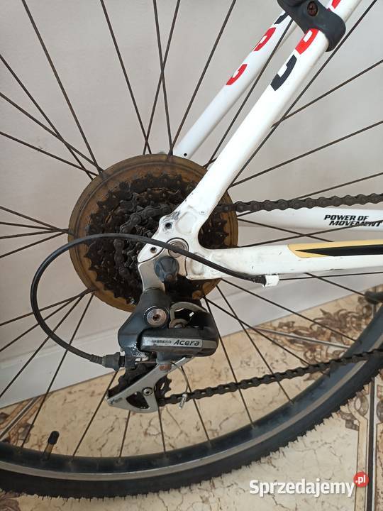 Rower WHEELER cross 62 Czerwin