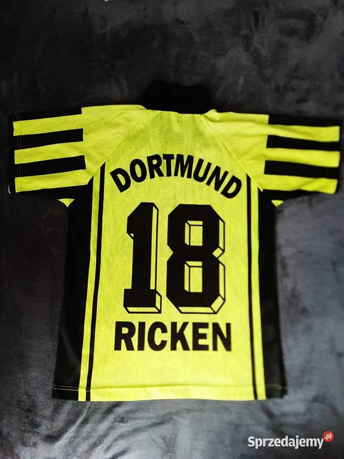 Koszulki męski różne rozmiary Odzież codzienna Sokołów Małopolski