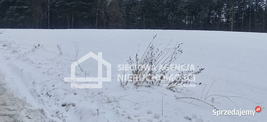 Działkę sprzedam Wielki Klincz 8800m2 szambo Sprzedaż