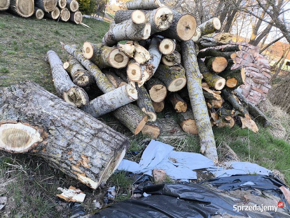 Drewno opałowe topola i olcha sprzedam