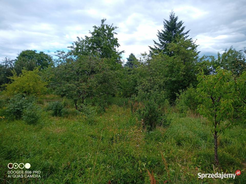DZIAŁKA ROD WÓJTOWA ROLA OLSZTYN