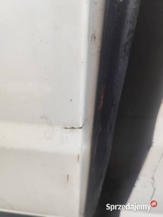 Drzwi tylne Fiat Ducato