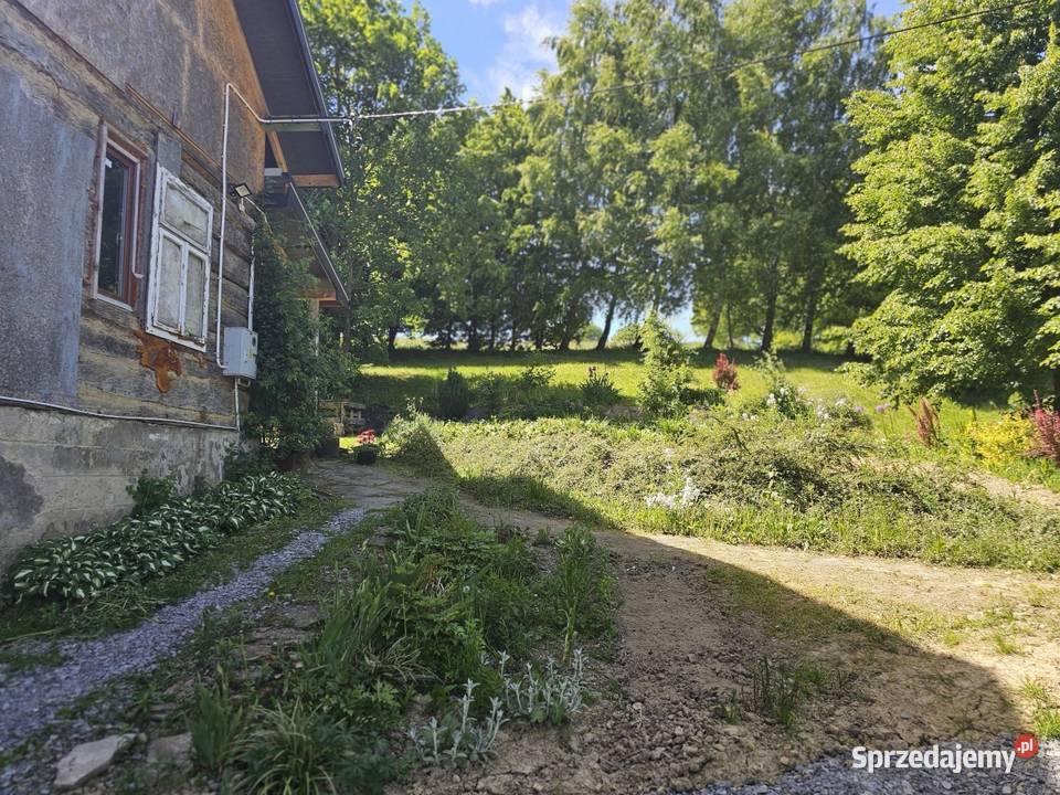 Syndyk sprzeda udział 14 w domu w Wolicy Bukowsko