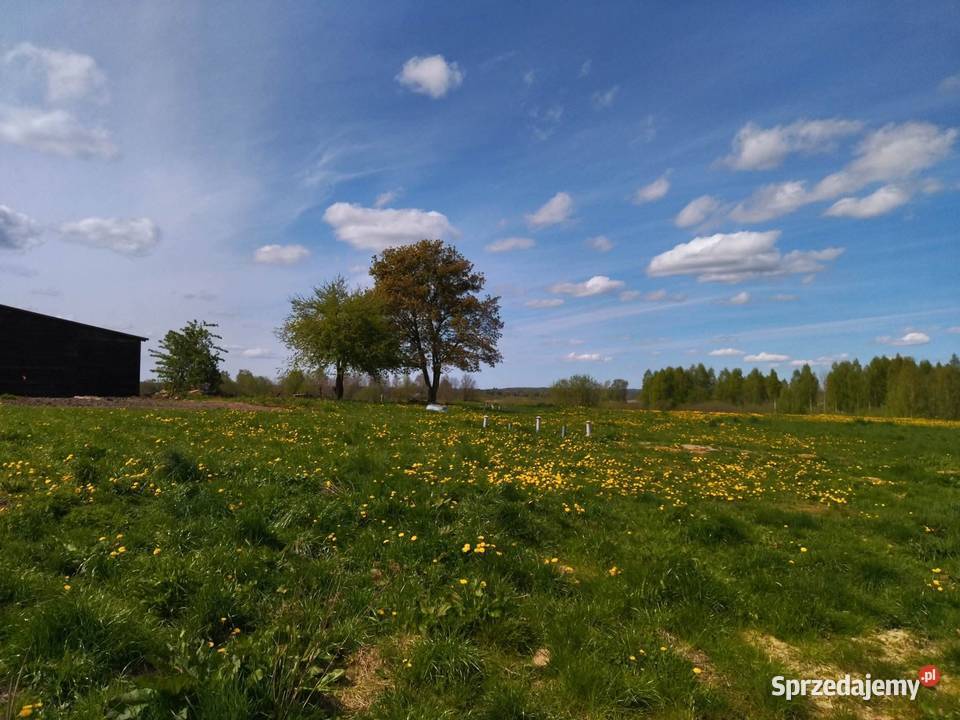 Działka rekreacyjna z możliwością zabudowy Grunty i działki Raj