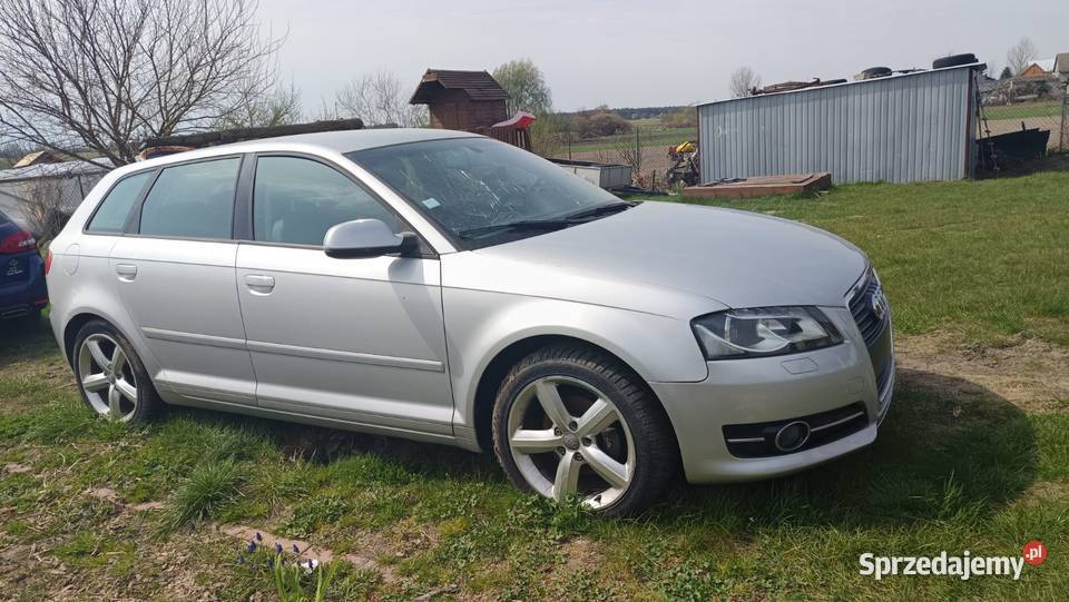 Sprzedam Audi A3 8p srebrny Kalisz