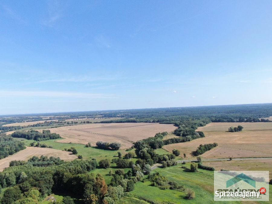 Ogłoszenie działka Niemica 1500m2 50m sprzedam