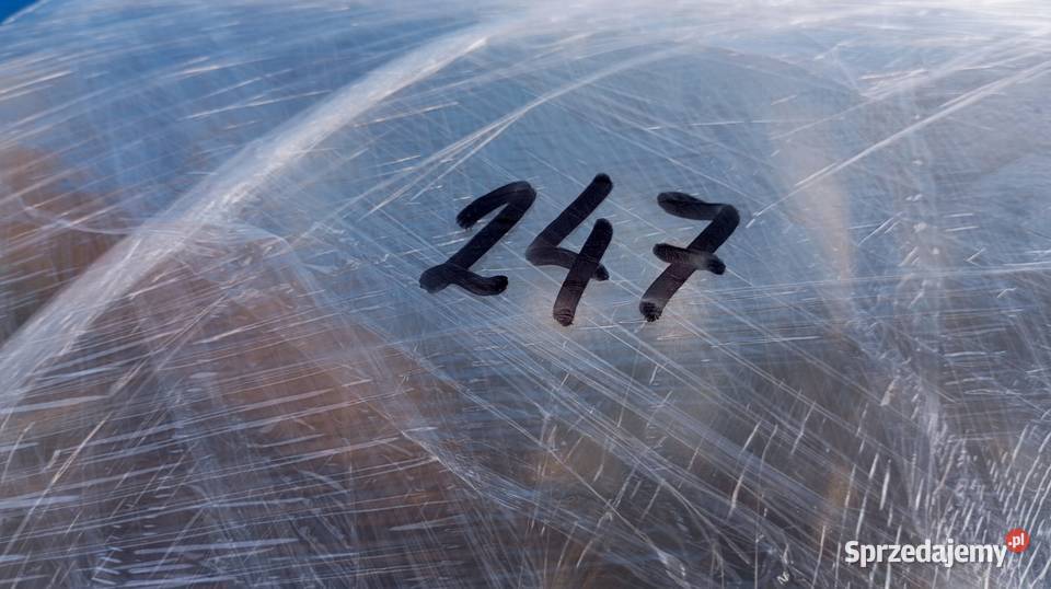 LAMPA LEWY PRZÓD XENON SUZUKI VITARA II 0814 Nowy Tomyśl