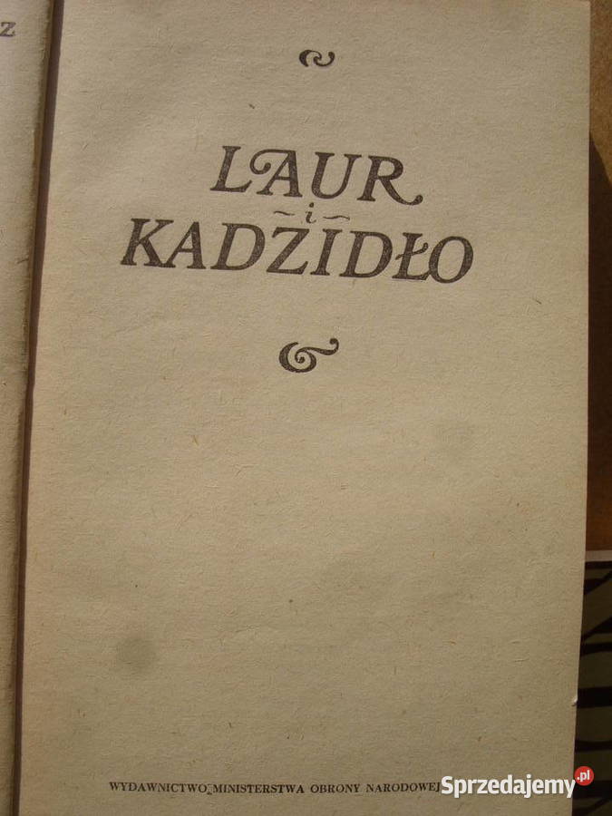 HIST KAZIMIERZ KORKOZIEWICZ OSTATNI ZWYCIEZCA Wołów