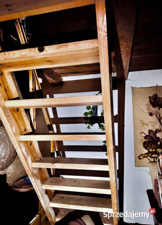 Dwa domy na pięknej działce 35 Warszawy OKAZJA Osieck sprzedam