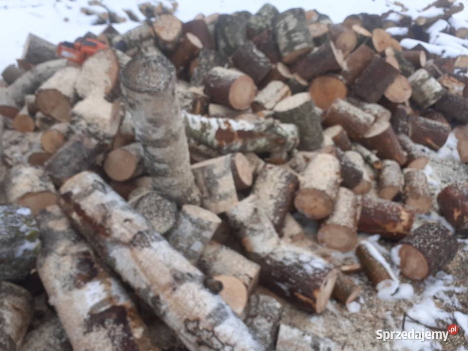 Drewno opałowe różne gatunki Międzyrzec Podlaski
