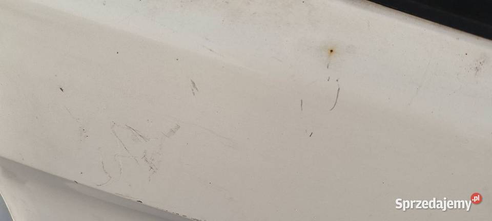 DRZWI LEWE PRZÓD FORD TRANSIT CUSTOM L1H1 FROZEN kujawsko-pomorskie