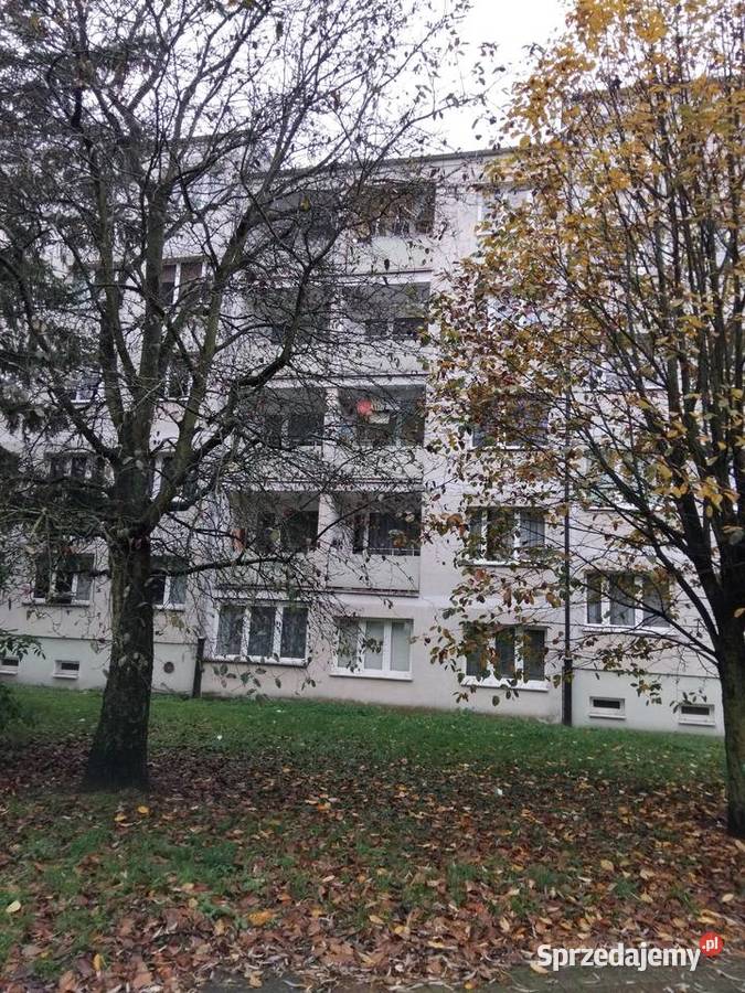 Mieszkanie 41m2 Kołobrzeg Centrum 2 Pokoje Piętro 4