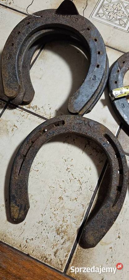 Ozdoba domuna szczęściePodkowa stalowa Barlinek