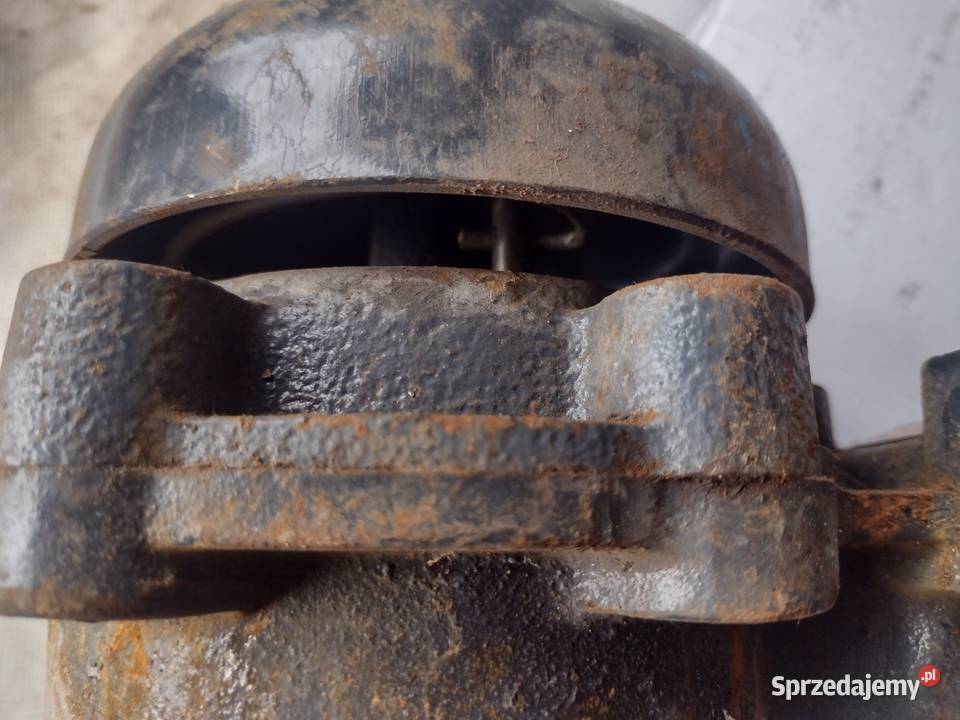 Dzwonek grzechotkowy Gołcza