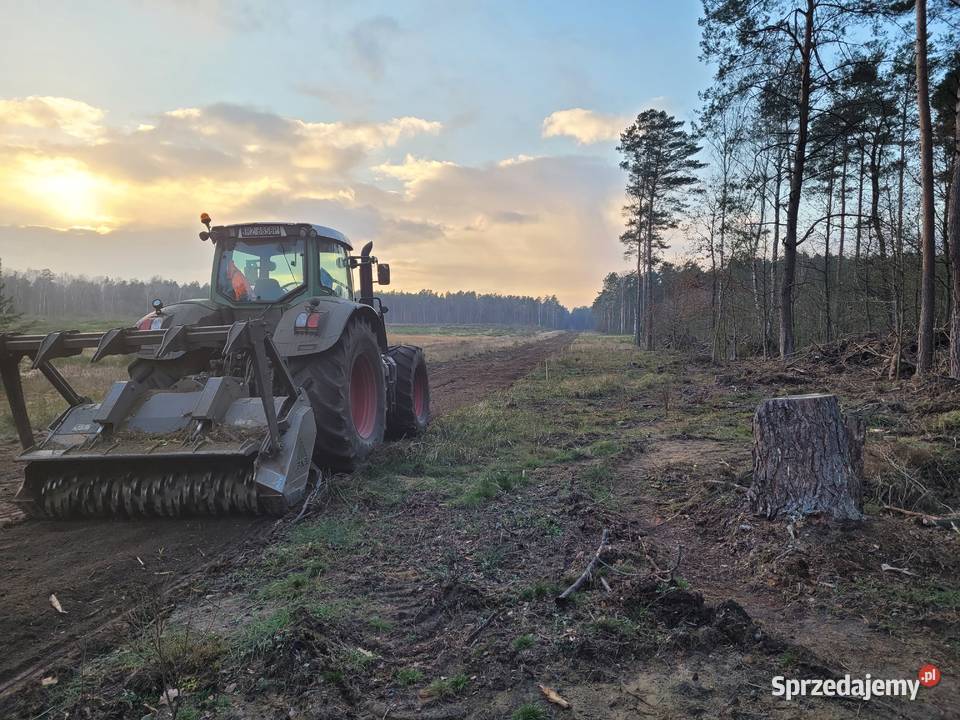 Frezowanie pni i Zadrzewień Karczowanie Koszalin prace ogrodowe