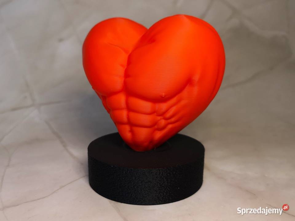 Rzeźba 3D Serce Siły anatomiczne serce z motywem Kielce